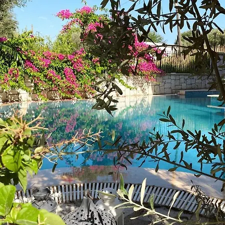 فندق Ata Boutique