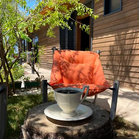 מלון Ata Boutique Altinyunus