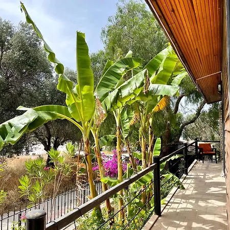 Ata Boutique מלון 5*