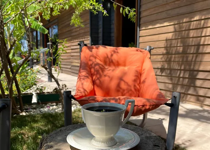 Ξενοδοχείο Ata Boutique Altinyunus