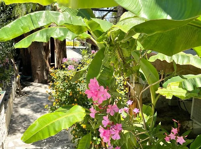 Отель Ata Boutique