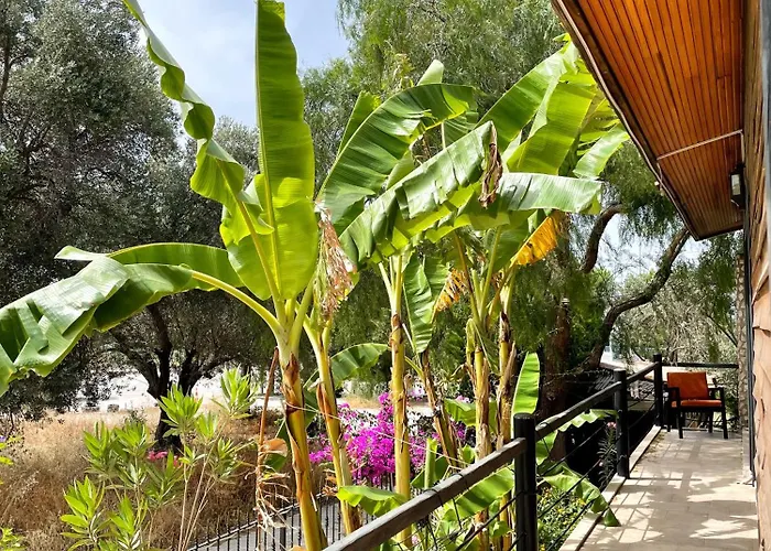 Ata Boutique Отель 5*